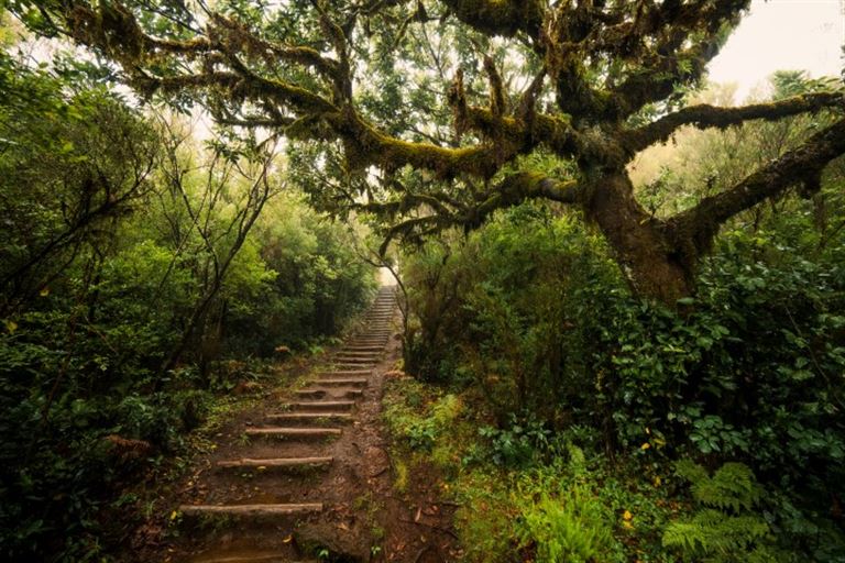 Madeira: Wandern & Kultur mit Flair @aroundtheworld.photography/istock